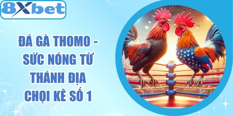 Đá Gà Thomo