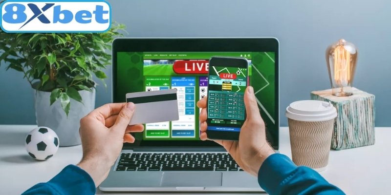 Theo dõi thông tin về sân bãi và thời tiết để đánh giá các đội thi đấu