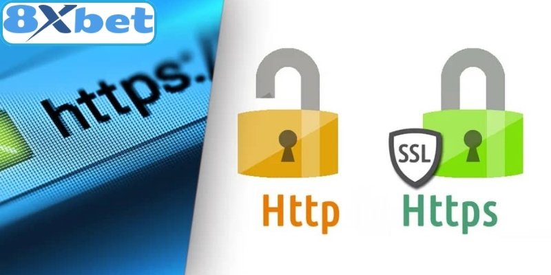 Tổng hợp địa chỉ cung cấp link vào 8xbet chính chủ